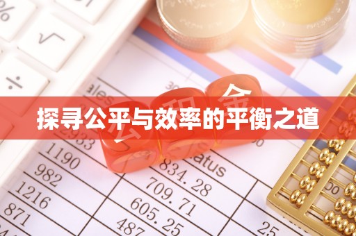 定襄探寻公平与效率的平衡之道