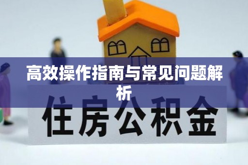 定襄高效操作指南与常见问题解析
