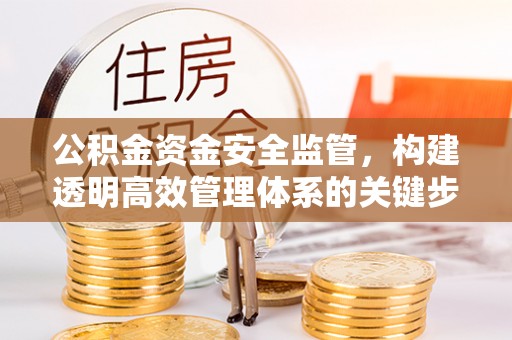 定襄公积金资金安全监管，构建透明高效管理体系的关键步骤