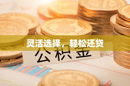 定襄灵活选择，轻松还贷
