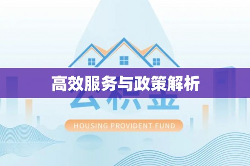 定襄高效服务与政策解析