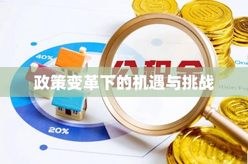 定襄政策变革下的机遇与挑战