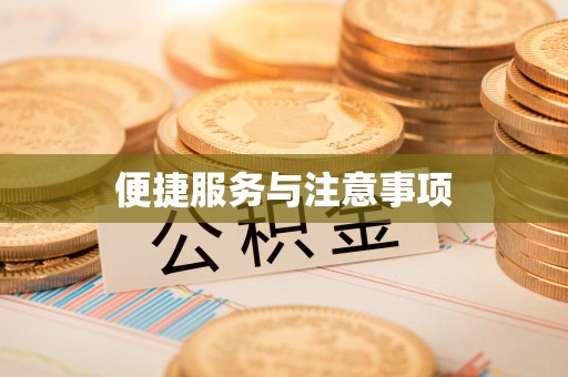 定襄便捷服务与注意事项