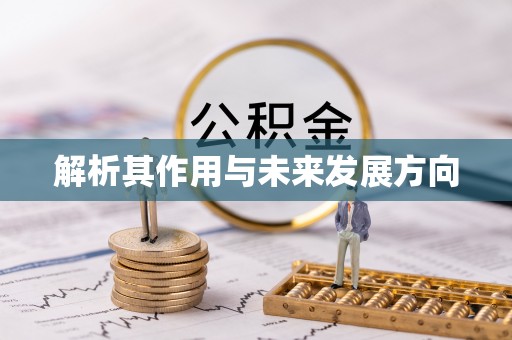 定襄解析其作用与未来发展方向